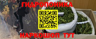 молекула духа Краснодар