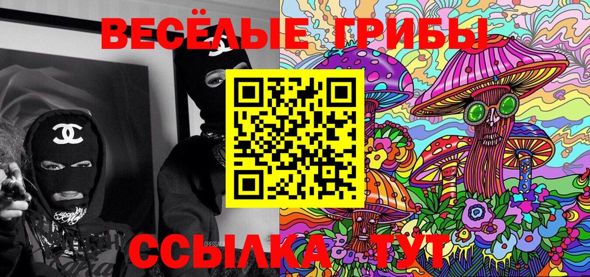 Псилоцибиновые грибы мицелий Людиново