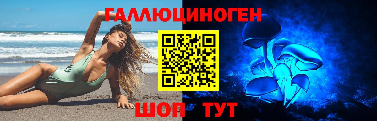 Галлюциногенные грибы GOLDEN TEACHER  Вход с VPN  Людиново 